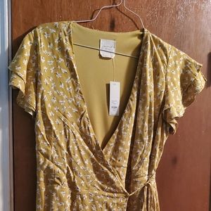 Women's dress